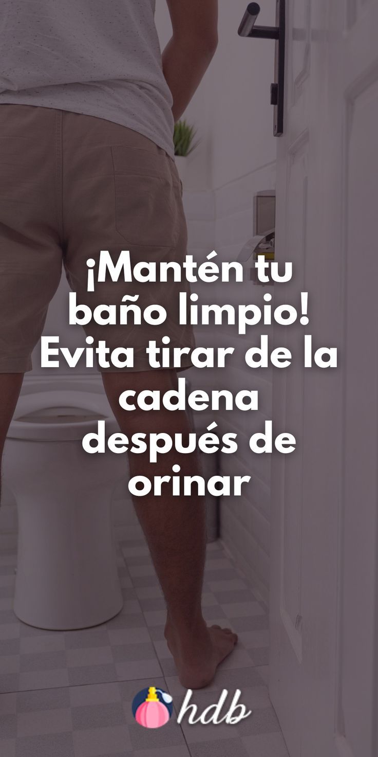 Por qué no deberías tirar de la cadena después de orinar Hablemos de