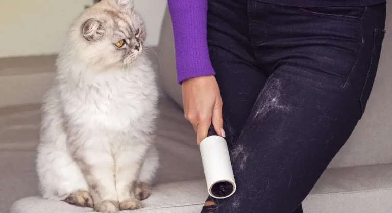 Cómo quitar pelos de animales y pelusas de la ropa