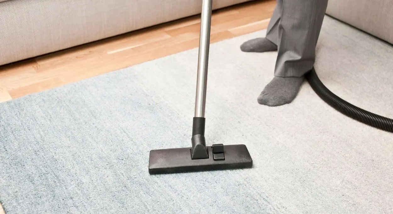 limpiar en profundidad las alfombras y quitar todo el polvo
