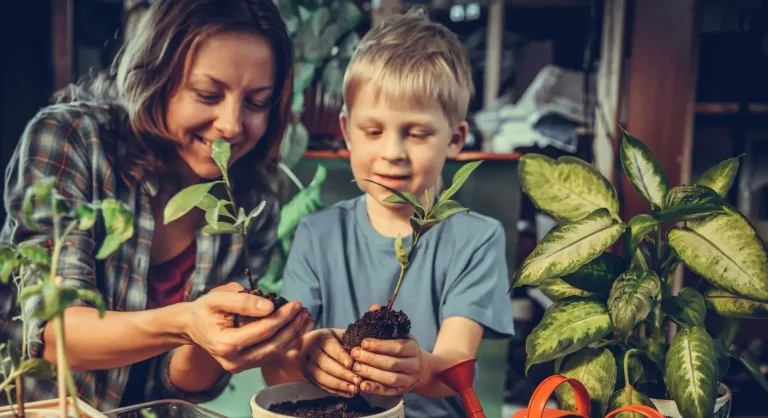 trucos caseros con vinagre para cuidar tus plantas del jardín