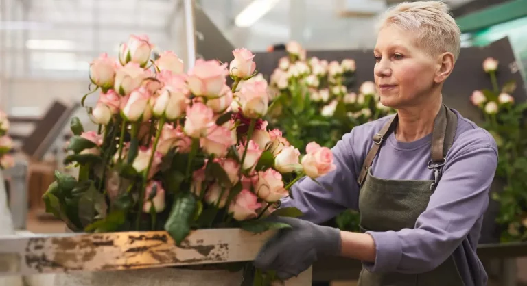 Cómo cultivar rosas con un solo tallo