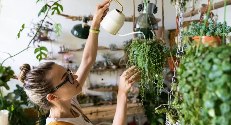 Cómo puedes regar las plantas cuando estés de viaje