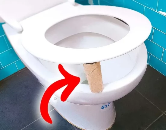 rollo de papel higienico debajo del asiento del inodoro
