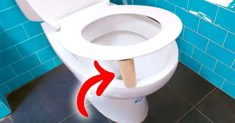 ¿Por qué tienes que dejar el rollo de papel higiénico debajo del asiento del inodoro?