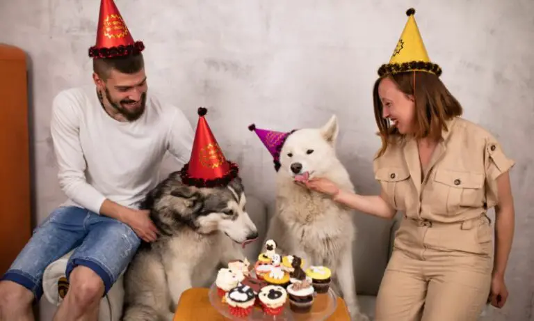 Golosinas para fiestas de perros