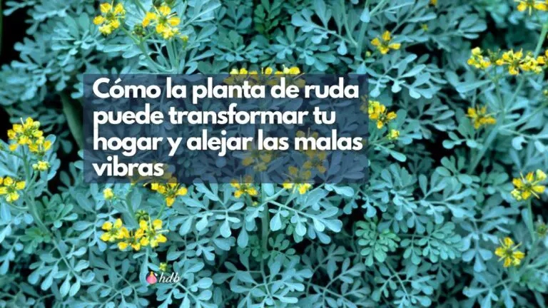 Cómo la planta de ruda puede transformar tu hogar y alejar las malas vibras