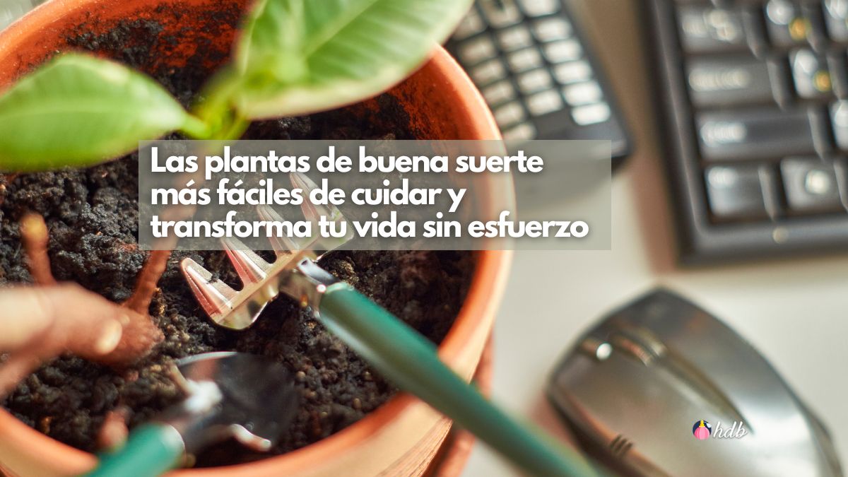 Las plantas de buena suerte más fáciles de cuidar y transforma tu vida sin esfuerzo