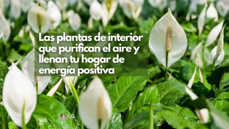 Las plantas de interior que purifican el aire y llenan tu hogar de energía positiva ????????