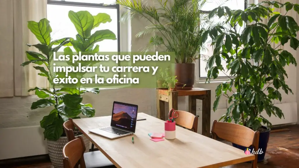Las plantas que pueden impulsar tu carrera y Ã©xito en la oficina