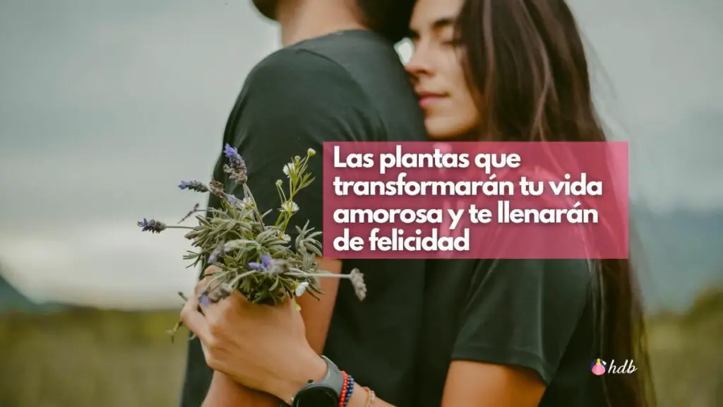 Las plantas que transformarÃ¡n tu vida amorosa y te llenarÃ¡n de felicidad