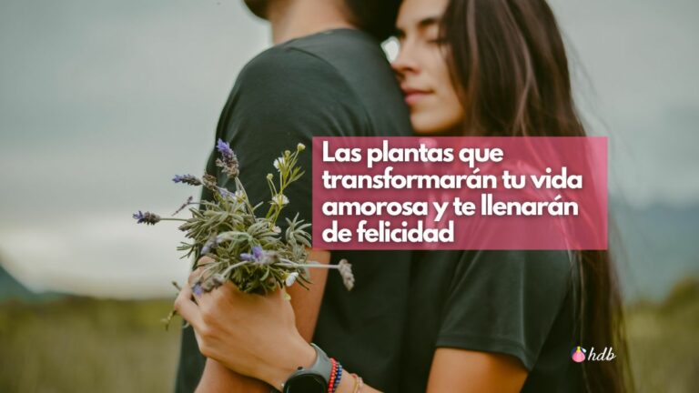 Las plantas que transformarán tu vida amorosa y te llenarán de felicidad