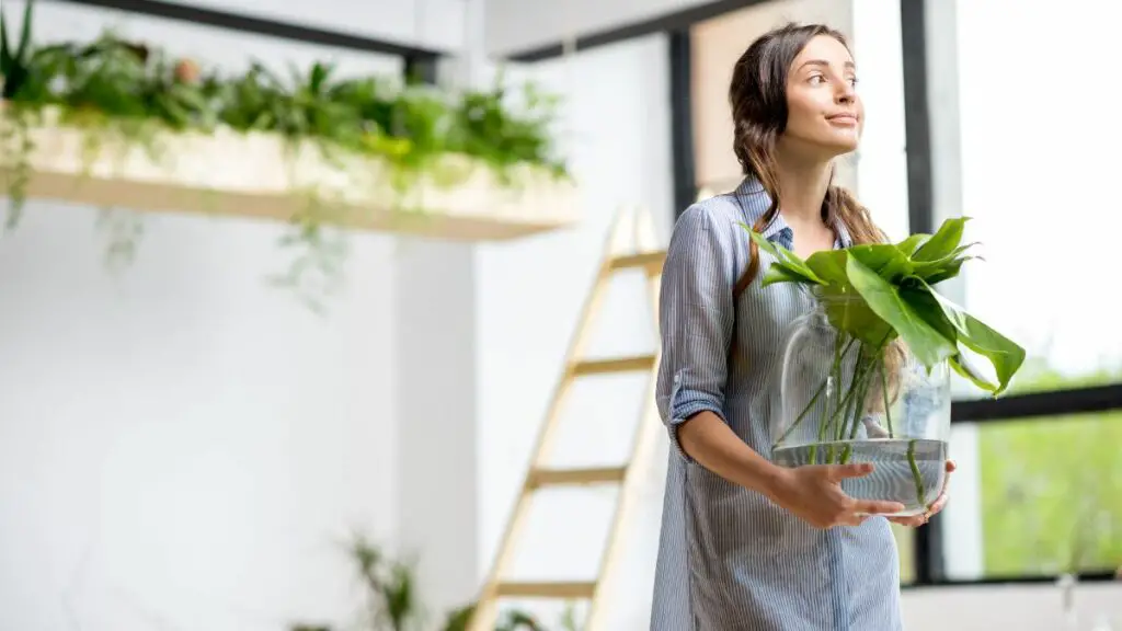 7 plantas que podrían traer mala suerte a tu hogar