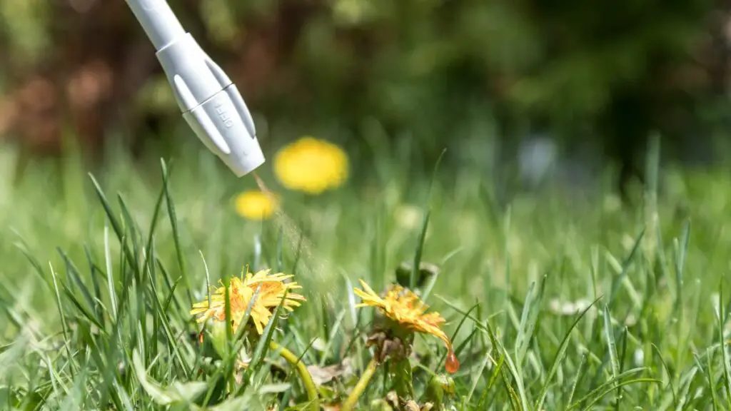 Cómo hacer un herbicida potente y natural para tu jardín