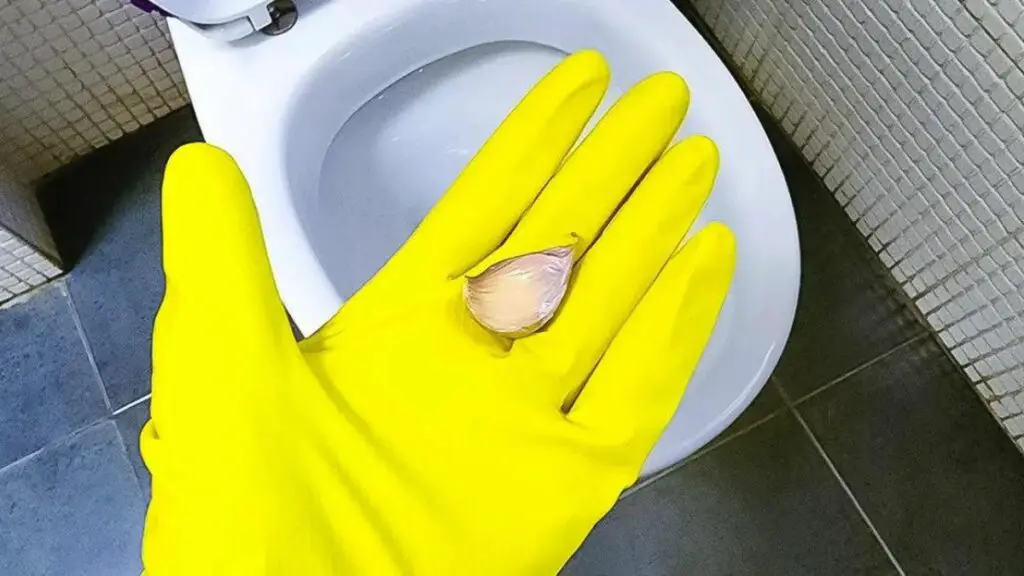 cómo limpiar y desinfectar baños con ajo