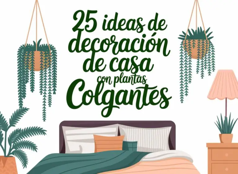 Decoración De Casa Con Plantas Colgantes