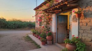Casas Humildes pero Irresistiblemente Bonitas por Dentro
